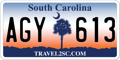 SC license plate AGY613