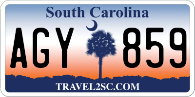 SC license plate AGY859