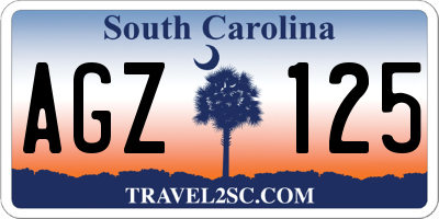 SC license plate AGZ125