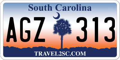SC license plate AGZ313