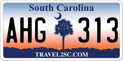 SC license plate AHG313