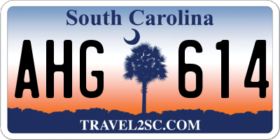 SC license plate AHG614