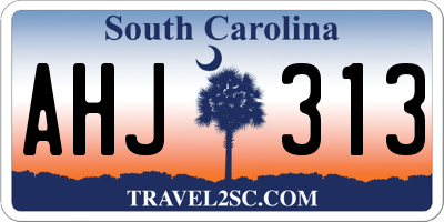 SC license plate AHJ313