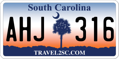 SC license plate AHJ316