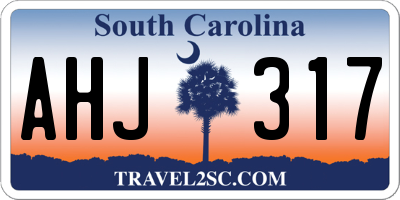 SC license plate AHJ317