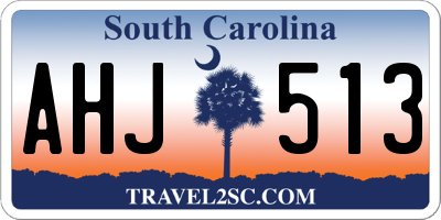 SC license plate AHJ513