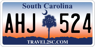SC license plate AHJ524