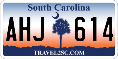 SC license plate AHJ614
