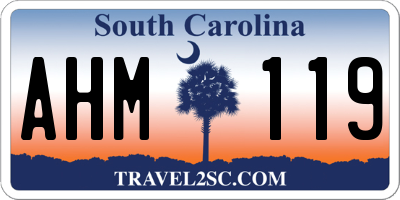 SC license plate AHM119