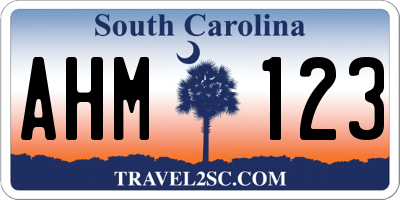 SC license plate AHM123