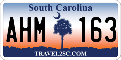 SC license plate AHM163