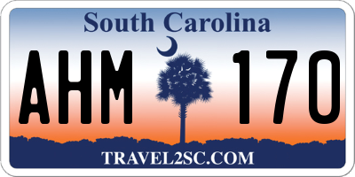 SC license plate AHM170