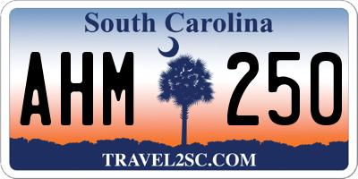 SC license plate AHM250