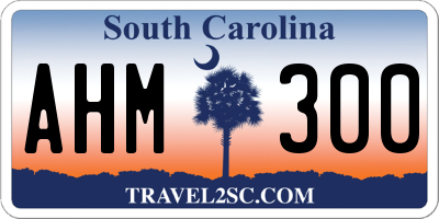 SC license plate AHM300