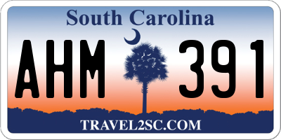 SC license plate AHM391