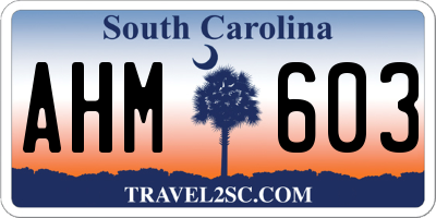 SC license plate AHM603
