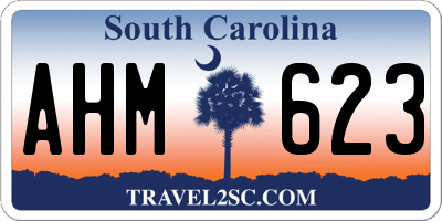 SC license plate AHM623