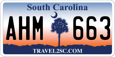 SC license plate AHM663