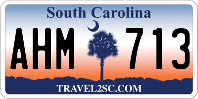 SC license plate AHM713