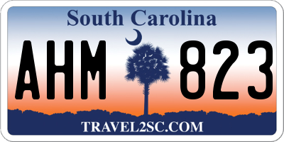 SC license plate AHM823