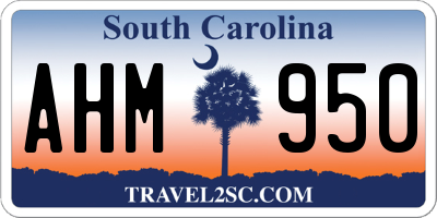 SC license plate AHM950
