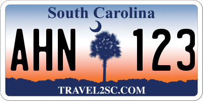 SC license plate AHN123