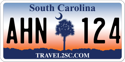SC license plate AHN124