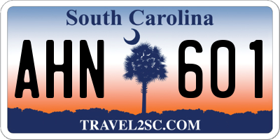 SC license plate AHN601