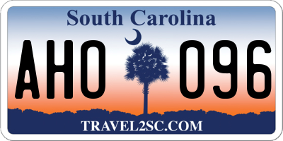SC license plate AHO096