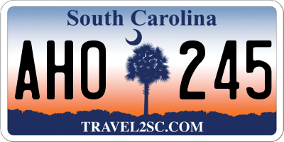 SC license plate AHO245