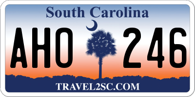SC license plate AHO246