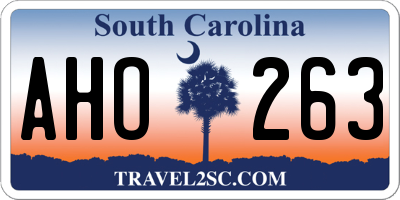 SC license plate AHO263