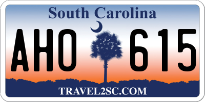 SC license plate AHO615