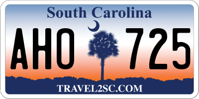 SC license plate AHO725