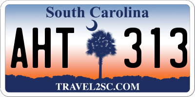 SC license plate AHT313