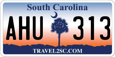 SC license plate AHU313
