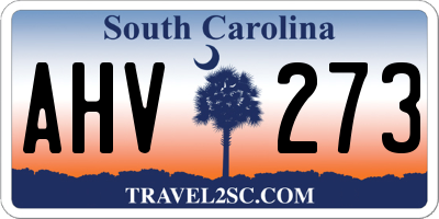 SC license plate AHV273