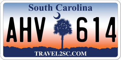 SC license plate AHV614