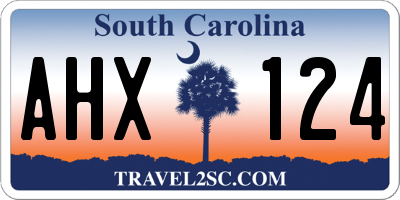 SC license plate AHX124