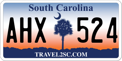 SC license plate AHX524