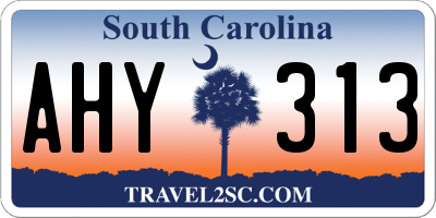 SC license plate AHY313