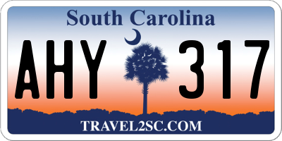 SC license plate AHY317