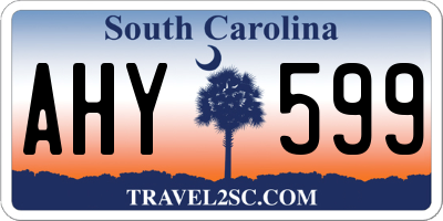 SC license plate AHY599