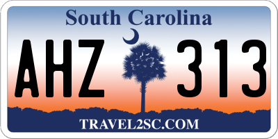 SC license plate AHZ313