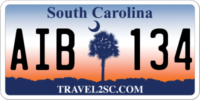 SC license plate AIB134