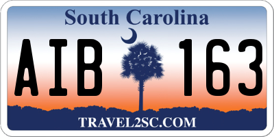 SC license plate AIB163