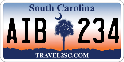 SC license plate AIB234