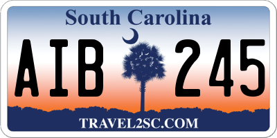 SC license plate AIB245