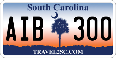 SC license plate AIB300