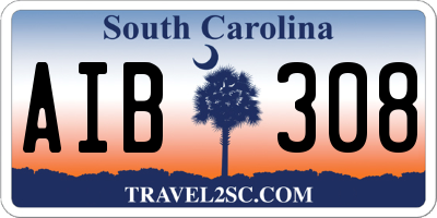 SC license plate AIB308